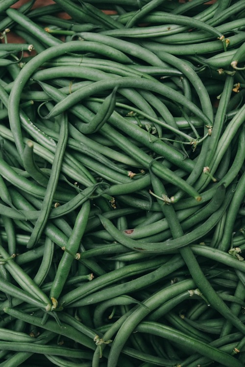 Fresh French and fine beans