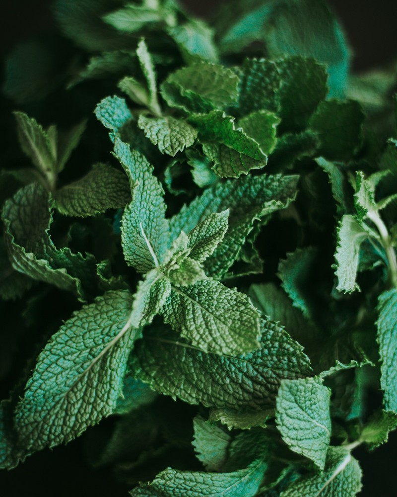 Freshly cut Kenyan herbs